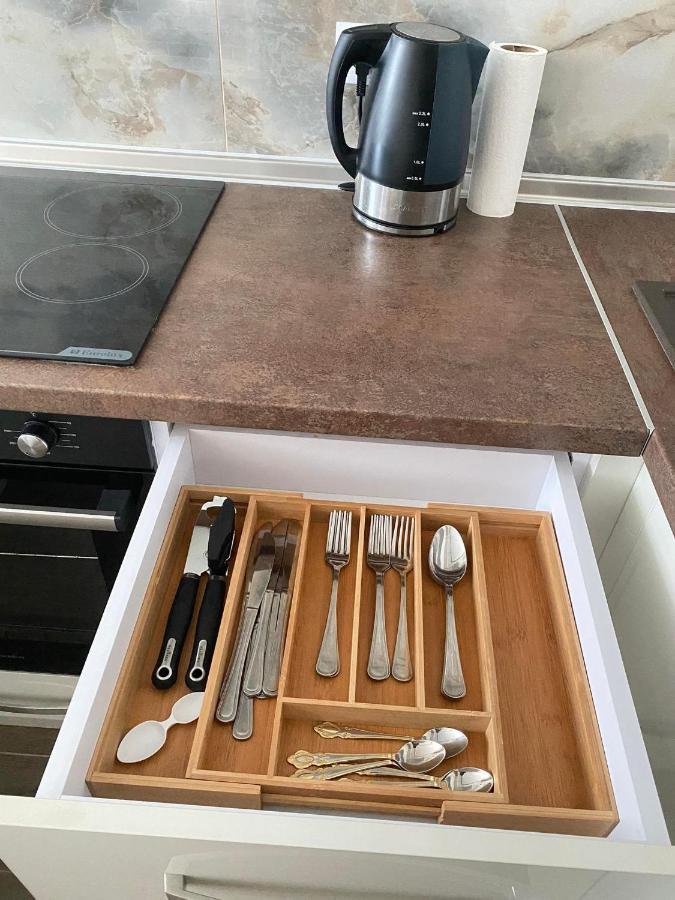 Business Lux Apartment Solomon City צ'יסינאו מראה חיצוני תמונה